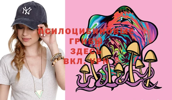 прущая мука Дмитриев