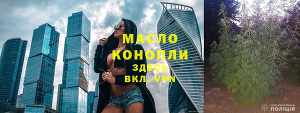 твердый Ельня