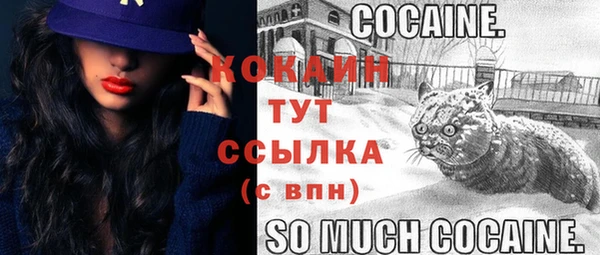 прущая мука Дмитриев